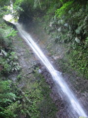 滝の写真